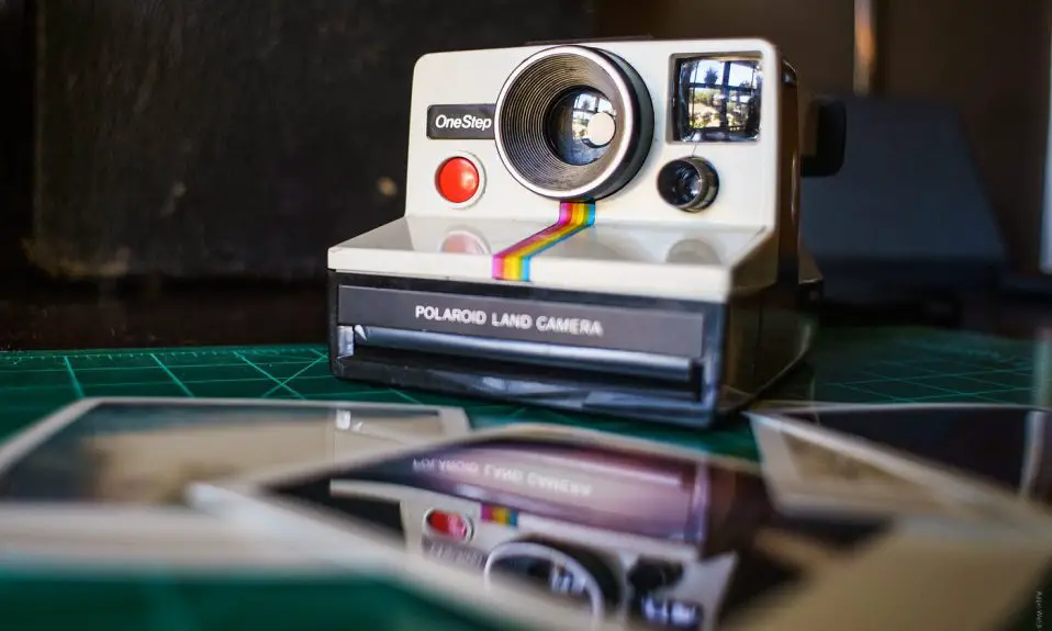 Do Polaroids Develop Better In Light Or Dark